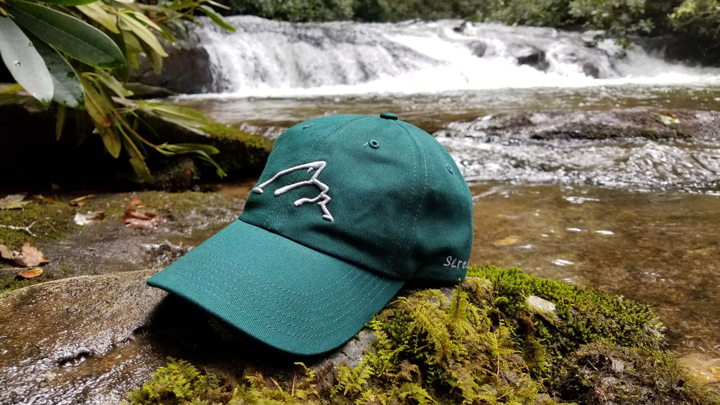 Fishing hat with logo from wild stream-bred rainbow trout caught in a mountain stream/river in the Chattahoochee National Forest while fly fishing in Blue Ridge, Georgia north of Atlanta, Georgia.